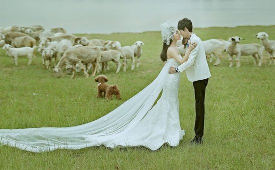 浪漫婚礼